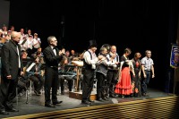 /album/concierto-zarzuela-con-banda-28-10-2012/a8138508227-30f49f05fe-jpg/