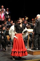 /album/concierto-zarzuela-con-banda-28-10-2012/a8138553502-9c5cf55cd6-jpg/